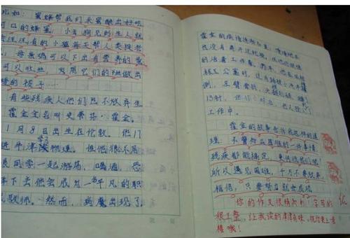 我是中国人！ _550字