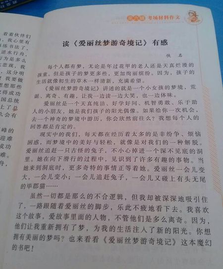 我们的老师是什么_400字