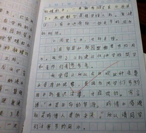 明亮和礼貌_500字