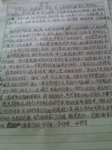 [2013年夏季论文]我理解_500字