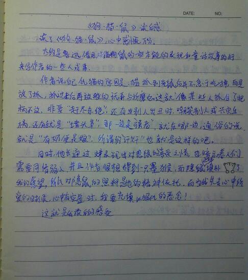 [2013年夏季论文]夏天阅读_550字