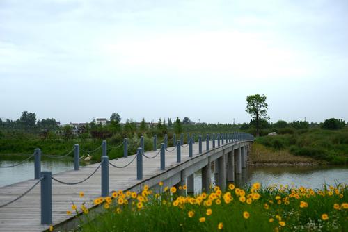 [2013年夏季论文]汉江湿地Park_1200字