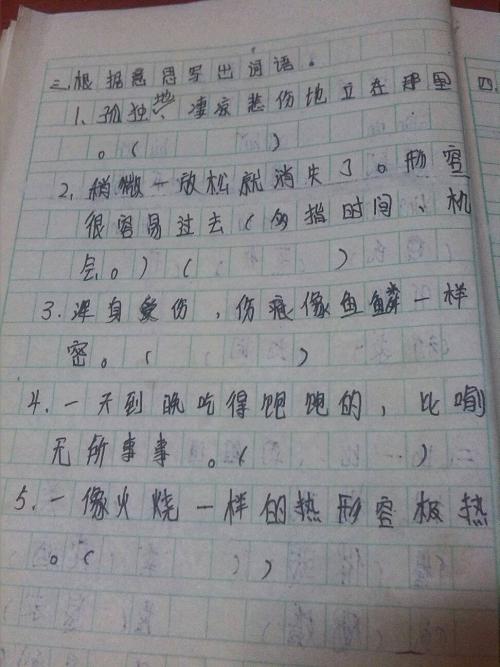 双重评论_650字