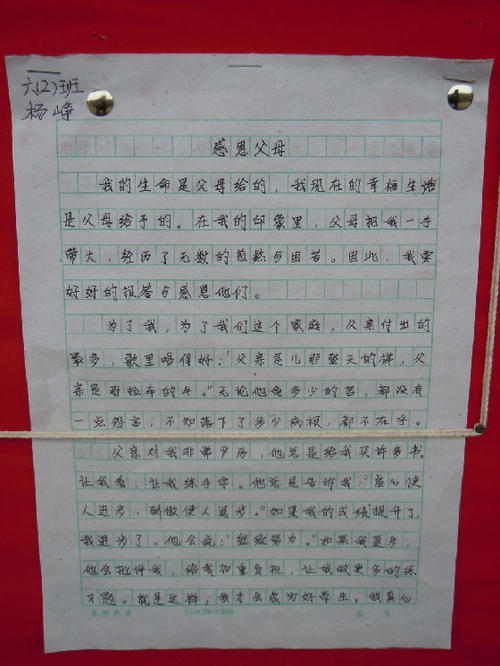 美丽的新天和地球_600字