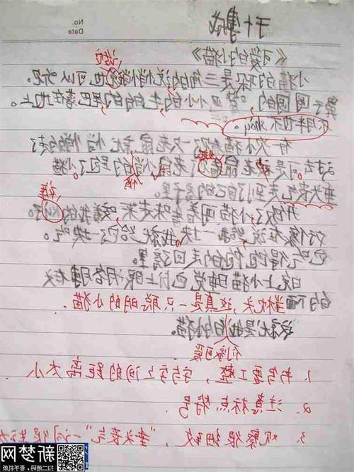 二年级叙事成分：老师的工作腿_300字