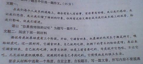 第一工作：温暖_700字