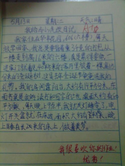 如果我是... _200字