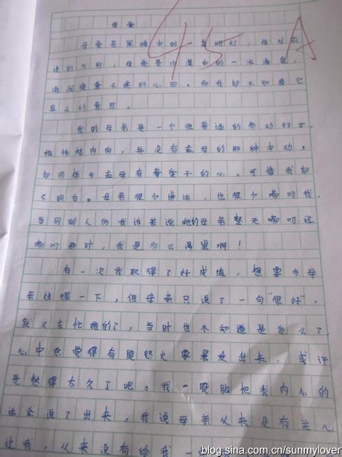 特殊母爱_300字