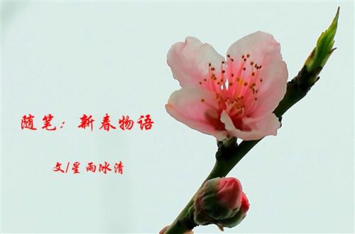 [春节]春节_2000字