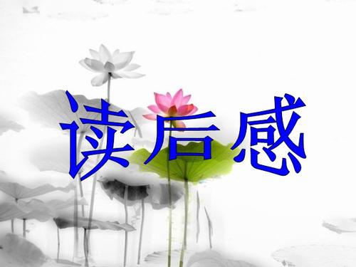 支出_250字后