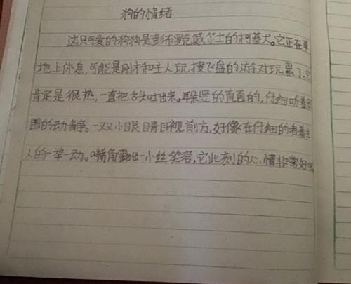 六年级最终考试成分：暑假_700字