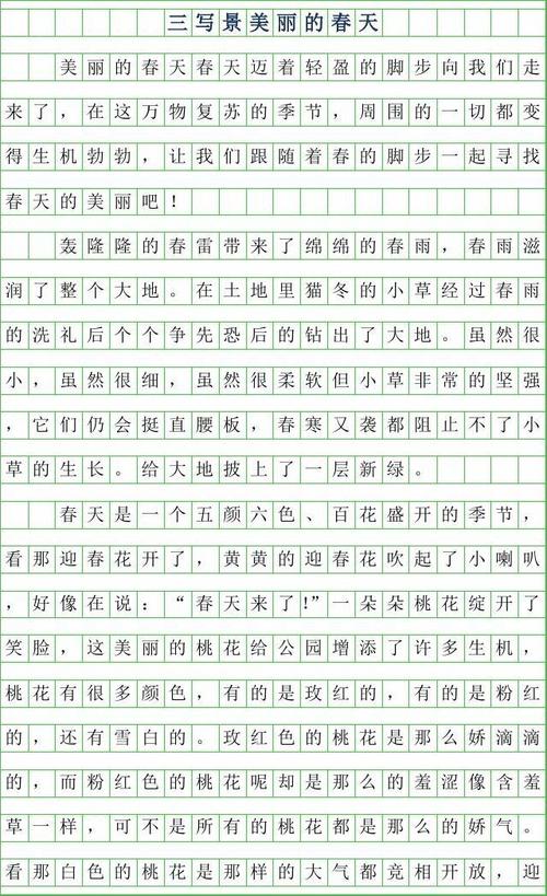 四年级写作组成：美丽唐普村湿地帕克_650字