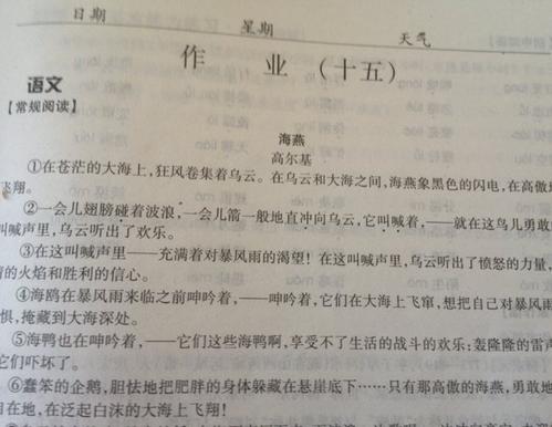 关于勇敢的作文：当一个勇敢的海燕_700字