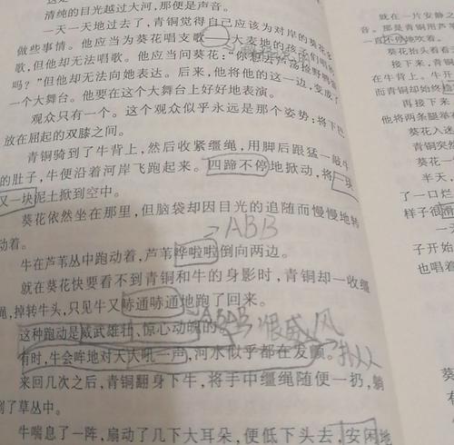 美丽的阅读通道：“青铜向日葵”段_800字