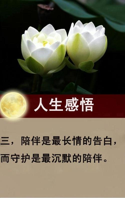 等待，等待，伴侣_800字