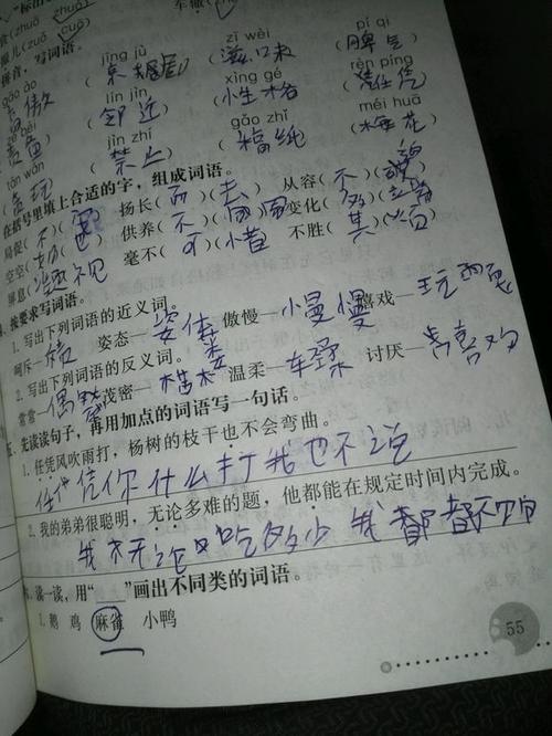 岛日记11  - 学习捕鱼_2000字