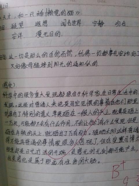 你，留下_100字