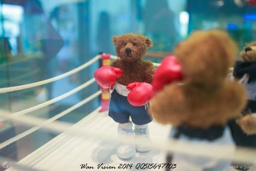 日记：泰迪熊博物馆_900字
