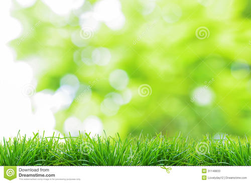 绿草幸福，绿叶的孤独_650字