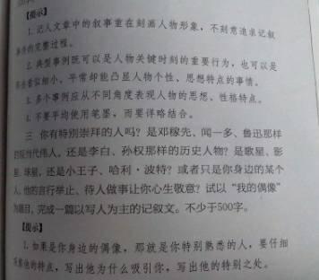 偶像上的组成：我的偶像_600字