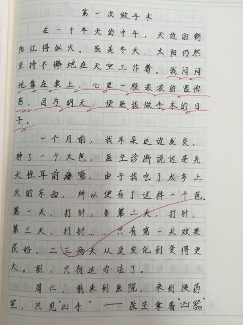 [令人难忘的2014年论文]令人难忘的事情_800字