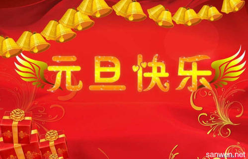 新年的组成：新年的一天_500字