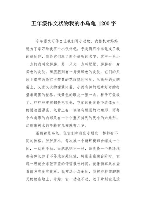 我经常说_1200字