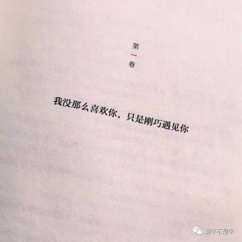 我最喜欢的一个_300字