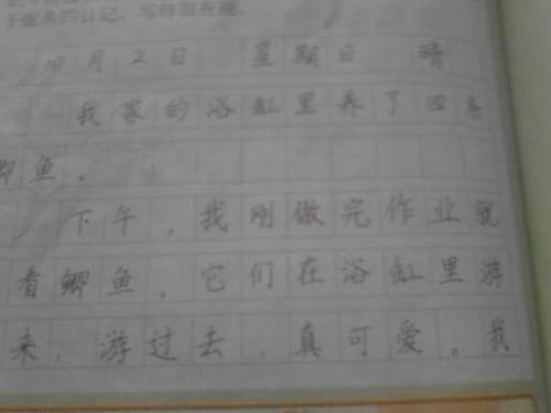 我妹妹_50字