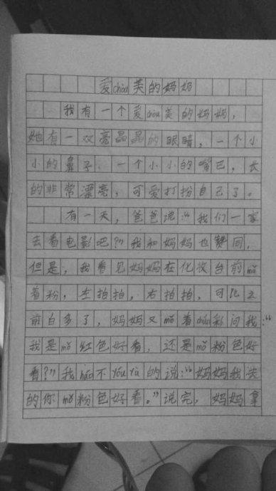 Amei母亲_450字