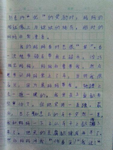 图片_300字