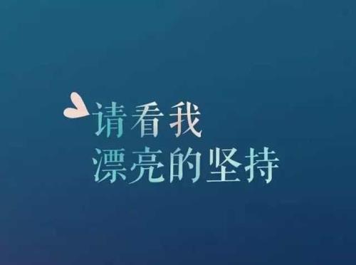 检查理解_550字