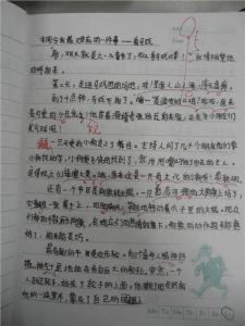 关于教师的作文：回忆·沉老师_750字