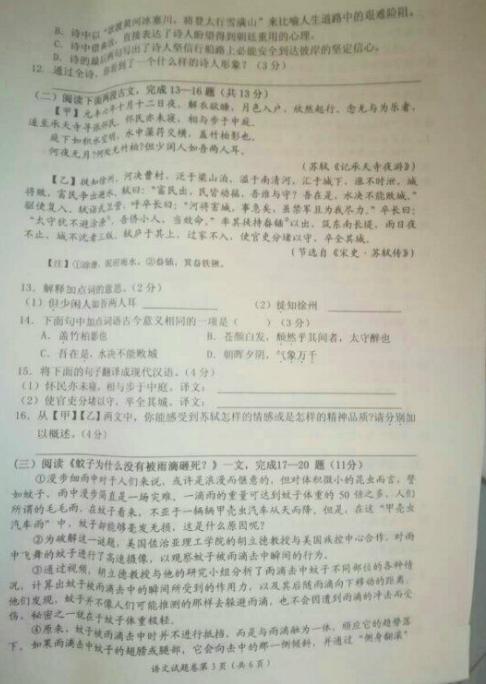 准备2010年高中入学考试语言：论文的开始