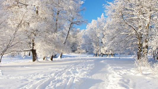 在雪地上的构图：冬天的雪景（3）_400字