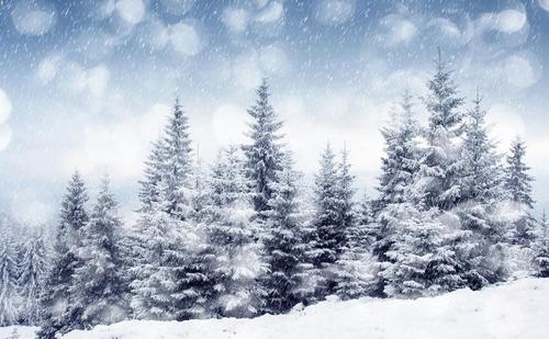 雪景上的构图：美丽的雪_1200字