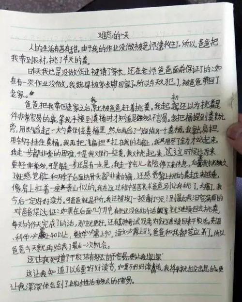 初级三作响：雨中的老人_800字