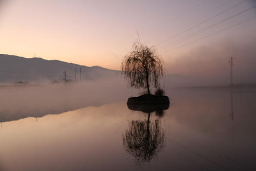 早上雾_200字