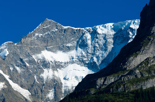 阿尔卑斯雪山_600字