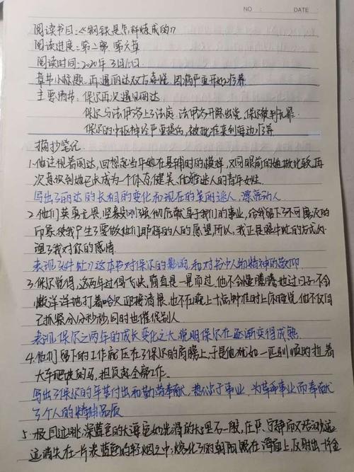 “钢铁是如何精致的”阅读说明_1200字