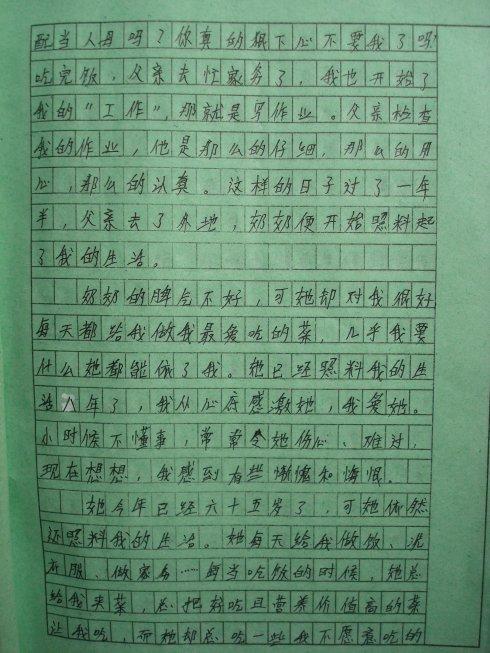 Amei的刺猬_500字