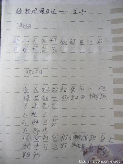 六年级日记：快乐的一天._200字