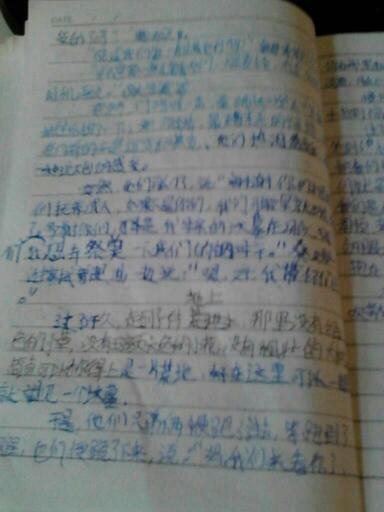 继续写作_900字