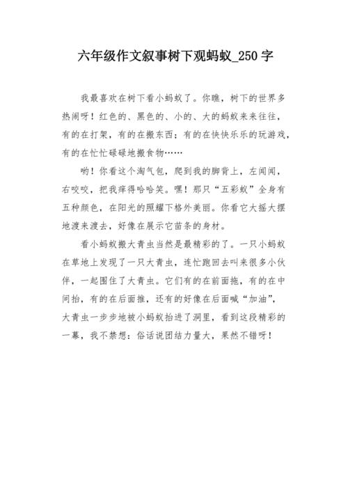 我的小伴侣_250字