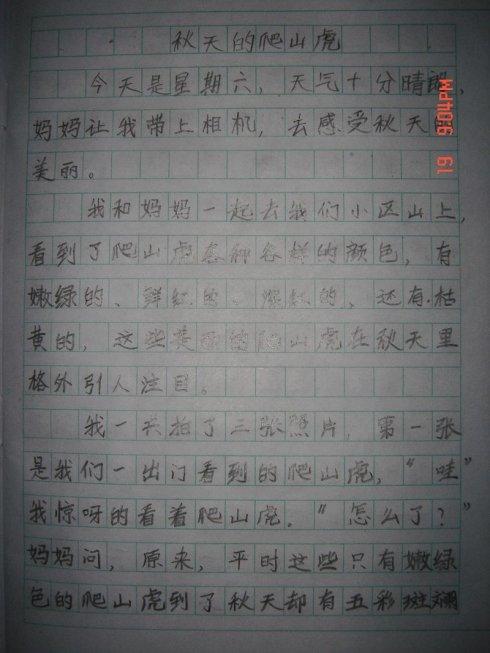 三年级写道：有趣的是同一个表_650字