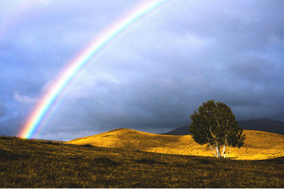 彩虹在风和雨后_700字