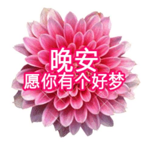 晚安，早点睡觉_400字